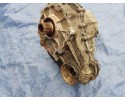 MERCEDES W251 ML W164 GL X164 REDUCER BRIDGE 4 0 4 2 V8 1642800900 Car type passenger cars
