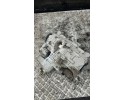 Rear reducer ALFA ROMEO STELVIO 949_ 00552760260 gasoline 375kW 2019 Part manufacturer Alfa Romeo OE