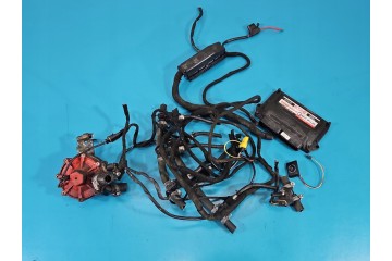 INSTALLATION OF LPG GAS STAG 300 6 QMAX PLUS 6 CYL