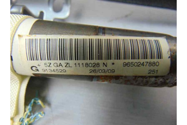 9650247880 AIRBAG CORTINA DELANTERO IZQUIERDO PEUGEOT 207