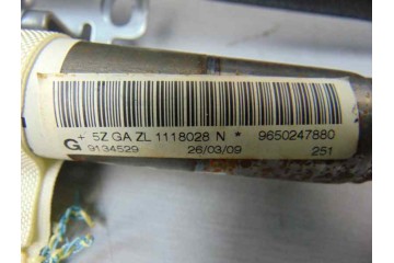 9650247880 AIRBAG CORTINA DELANTERO IZQUIERDO PEUGEOT 207 Confort 2009 9650247880 182210 PEUGEOT - 2