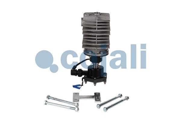 Filtro de Aire Comprimido para DAF y SCANIA