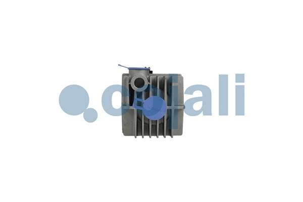 Filtro de Aire Comprimido para DAF y SCANIA