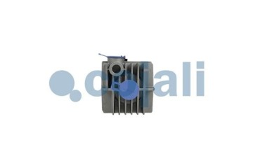 Filtro de Aire Comprimido para DAF y SCANIA