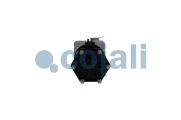 Filtro de Aire Comprimido para DAF y SCANIA