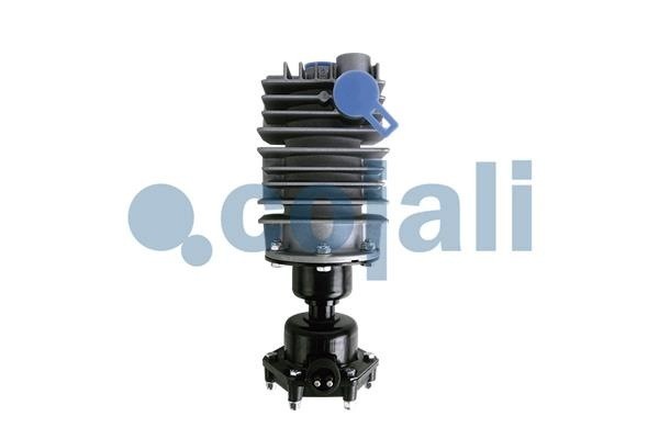 Filtro de Aire Comprimido para DAF y SCANIA