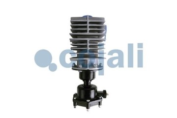 Filtro de Aire Comprimido para DAF y SCANIA