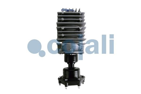 Filtro de Aire Comprimido para DAF y SCANIA