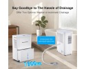 Deshumidificador Compacto 16 L por Día con Funcionamiento Automático
