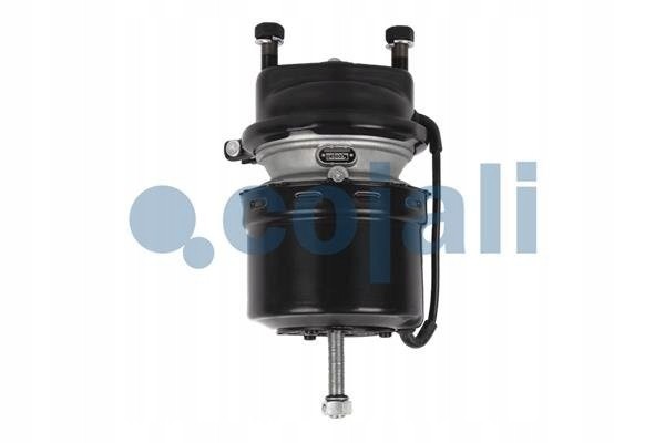 MOTOR HAM 14 16 DISCS MAN LEFT AXLES MB COJALI 2251505 Catalog number of the part 2251505