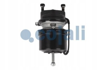 MOTOR HAM 14 16 DISCS MAN LEFT AXLES MB COJALI 2251505 Catalog number of the part 2251505