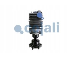 DEOILER TYPE CONSEP 24V M24X1 COJALI 2480004