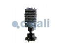 DEOILER TYPE CONSEP 24V M24X1 COJALI 2480004 Catalog number of the part 2480004