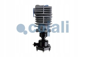 DEOILER TYPE CONSEP 24V M24X1 COJALI 2480004 Car type trucks