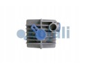 Válvula Dosificadora Tipo CONSEP 24V, M24X1 COJALI 2480004