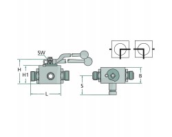 PISTER Ball valve BKR 3L DN 25 1 BSP
