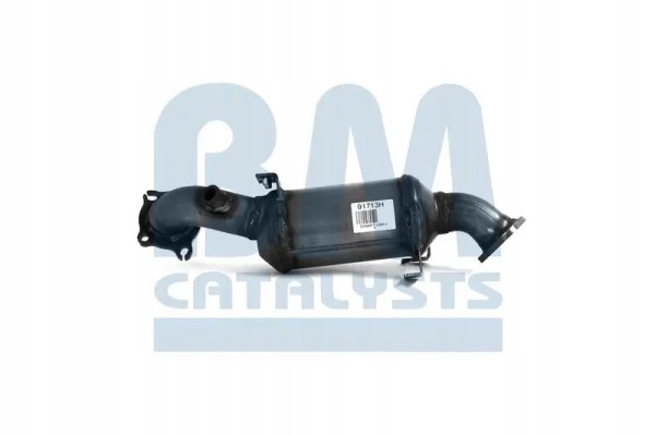 Catalizador BM91713H BM Catalysts usado 2