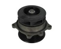 Coolant pump DOLZ I111 for IVECO EUROTECH MH EUROTRAKKER