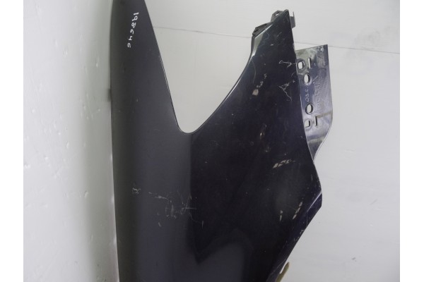 NEGRA ALETA DELANTERA DERECHA VOLKSWAGEN PHAETON (3D3/3D7) TDI V6 4Motion (5 asientos) 2007 NEGRA 198646 VOLKSWAGEN - 4