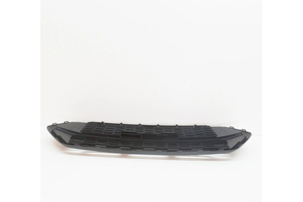 BUMPER GRILL FORD FRONT TRANSIT TURNEO CUSTOM 20 Catalog number of the part 2467234