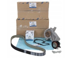 FORD FOCUS 1 6 ECOBOOST 11 TIMING KIT WITH PUMP