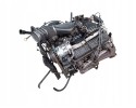 ENGINE GM 5 7 V8 VOLVO PENTA MERCRUISER VORTEC MARINE CHEVROLET 10243880 Catalog number of the part 10243880