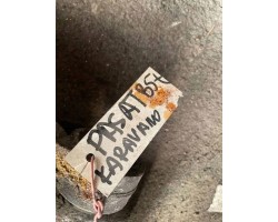 Rear reducer VW PASSAT Variant B5 3B6 8E0501 1 9L diesel 96kW 2002
