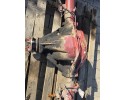 Rear Dyfer Bridge Complete Iveco Daily IV V 7182919 Car type cargo vans