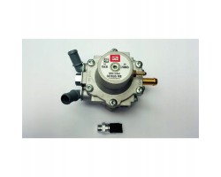 Reducers for sequential systems BRC LPG BRC1200
