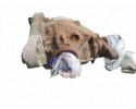 Rear reducer BMW 5 Touring E39 8999042706750019 2 0L gasoline 110kW Part manufacturer BMW OE