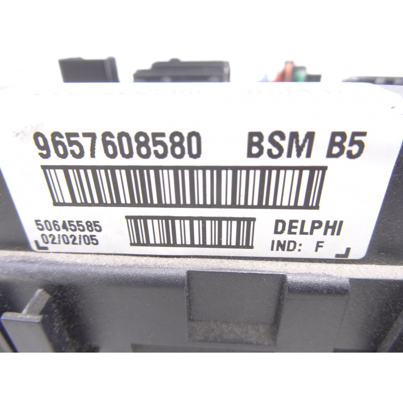 9657608580 CAJA RELES / FUSIBLES PEUGEOT 307 (S1)(04.2001)