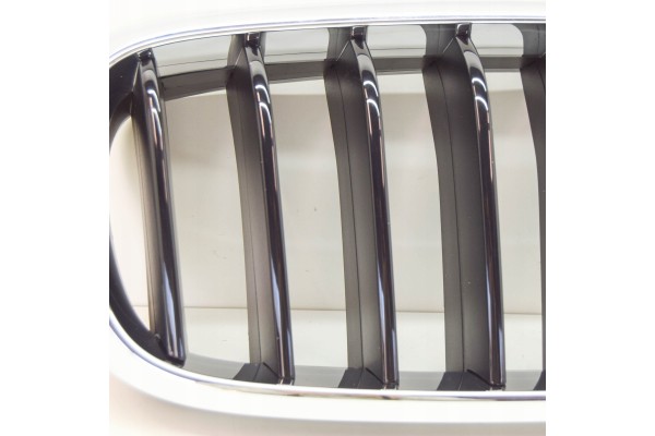 BMW X6 F16 Front Radiator Right Grille 51137373690 Version European