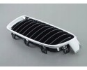 OEM BMW F30 F30N F31 Left Radiator Grill 51137255411