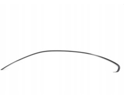 BMW 3 Coupe E92 Left side of roof strip 51768036661