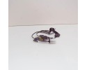 ABS sensor OE FORD 5246888 Catalog number of the part 5246888