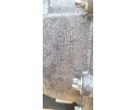 Motor Completo Renault Austral E-Tech 1.2 E-Tech H5FB601 Nuevo