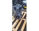 RENAULT AUSTRAL ENGINE H5FA601 NEW Catalog number of the part H5FB601 Adler ct