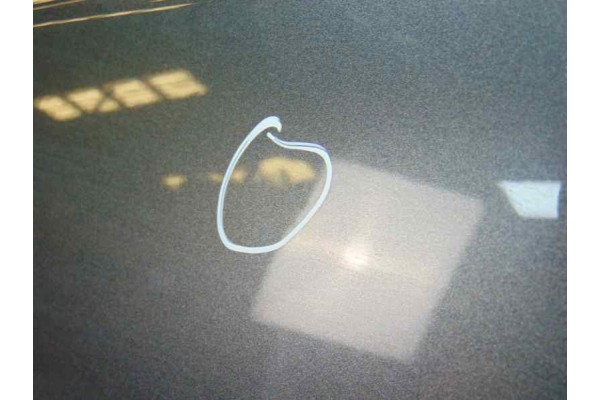 GRIS OSCURO PUERTA TRASERA IZQUIERDA AUDI A6 AVANT (4F5)