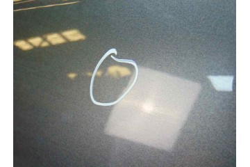 GRIS OSCURO PUERTA TRASERA IZQUIERDA AUDI A6 AVANT (4F5)