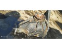 Reductor trasero MERCEDES-BENZ E (W210) 452644 2.7L diésel 125kW 2002