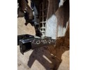 Transmission 1 0 MPI QAD Part manufacturer VAG SYSTEM