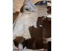 Transmission 1 2 TSI PNZ Part manufacturer VAG SYSTEM