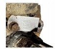 1531354 SCANIA Differential drive axle Catalog number of the original 1531354 2591637 574576