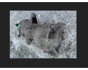 DYFERENCJA MOST TY HYUNDAI SANTA FE II 2 2 CRDI 47800 39300 Part manufacturer Hyundai OE
