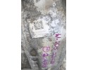MERCEDES C CLASS W205 14r 2 2 CDI BRIDGE DIFFER REAR 2053509125 2 47 Catalog number of the part MERCEDES C KLASA W205 14r 2 2 CD