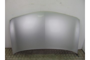 PLATA CAPO RENAULT MEGANE II CLASSIC BERLINA Confort Authentique 2005 PLATA 195673 RENAULT - 1