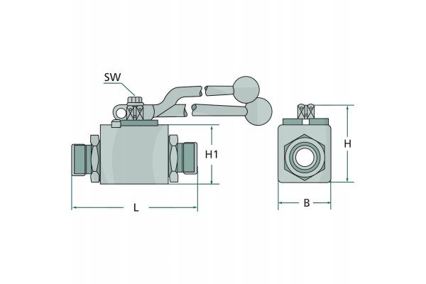 PISTER pack 5 Ball valve BKH 2 12L M18x1 5