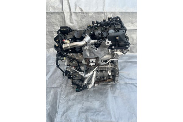 JEEP WRANGLER JL 2 0 TURBO PETROL 2019 Catalog number of the part JEEP WRANGLER JL SILNIK 2 0 TURBO BENZYNA 2019