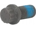 Screw AGCO 155302120011