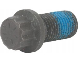 Screw AGCO 155302120011